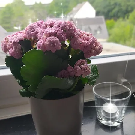 Ruhe Am Walde Meschede